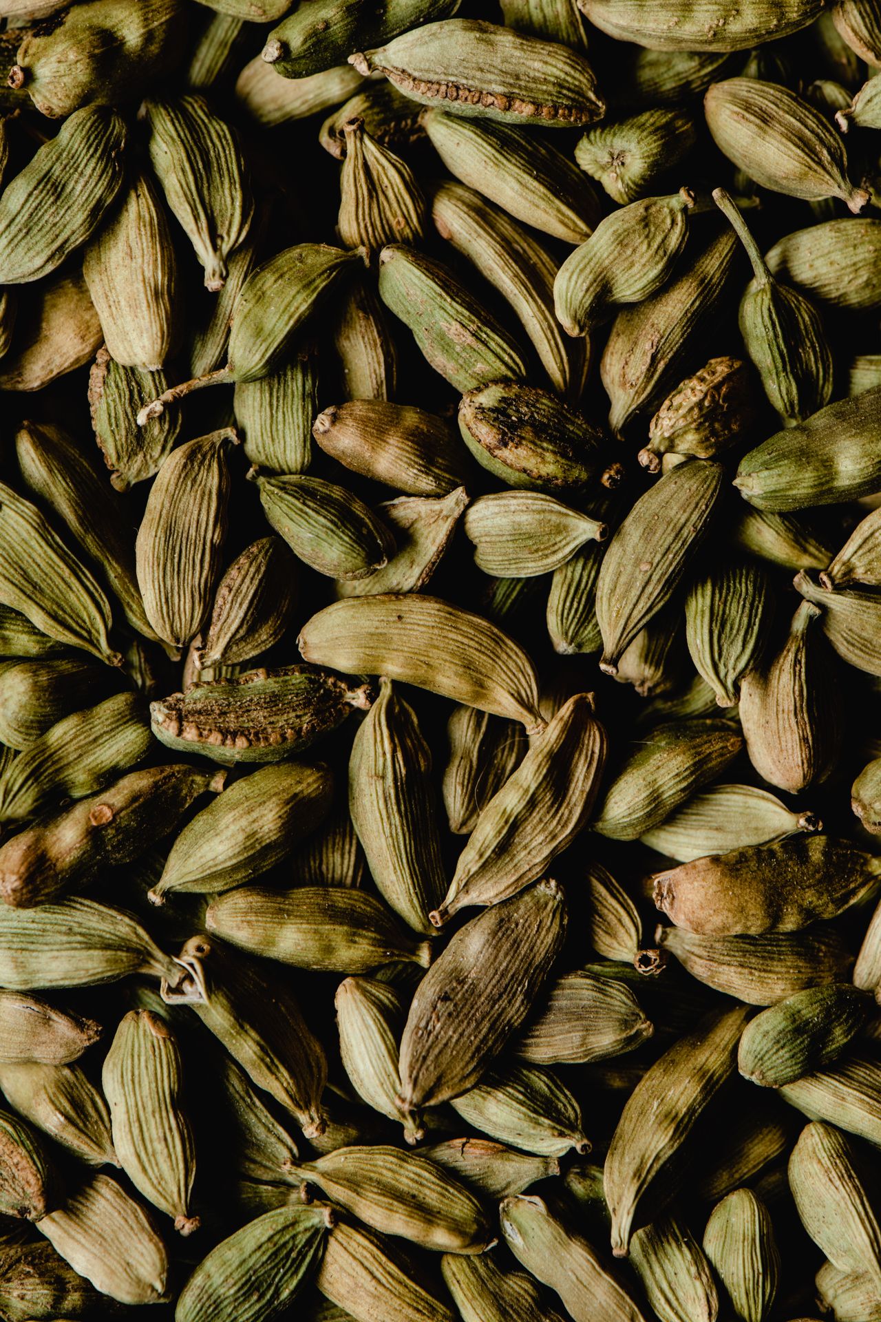 Cardamom, Elettaria cardamomum
