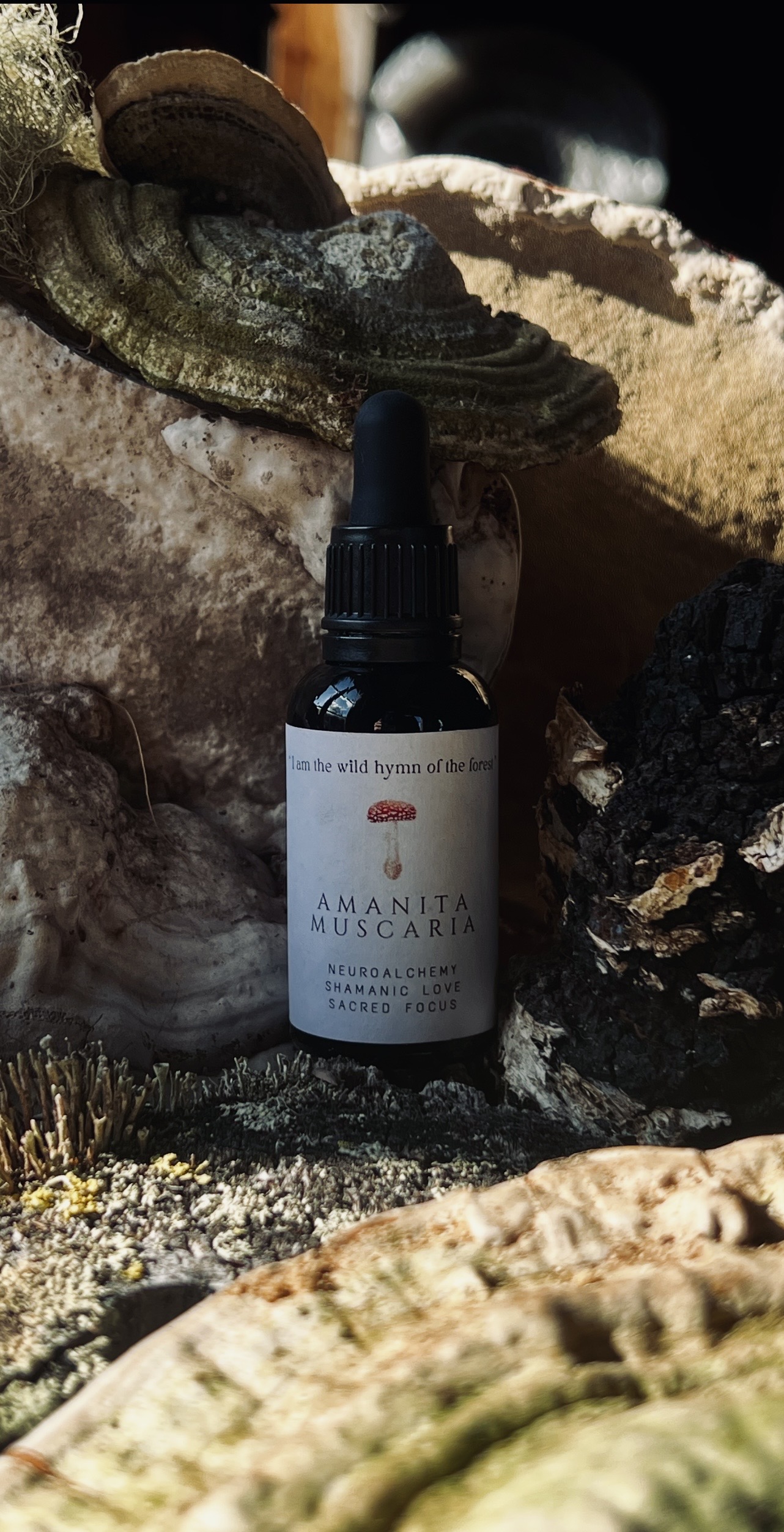 Amanita muscaria spagyric essence